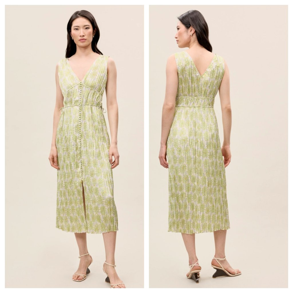 Rebecca Taylor Mini Astera Fleur Button Front Pleated Midi Dress